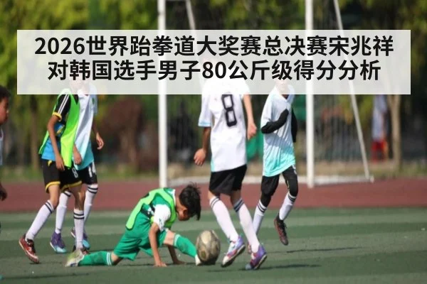 2026世界跆拳道大奖赛总决赛宋兆祥对韩国选手男子80公斤级得分分析
